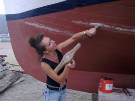 150620131578 Emula del calalfato.jpg